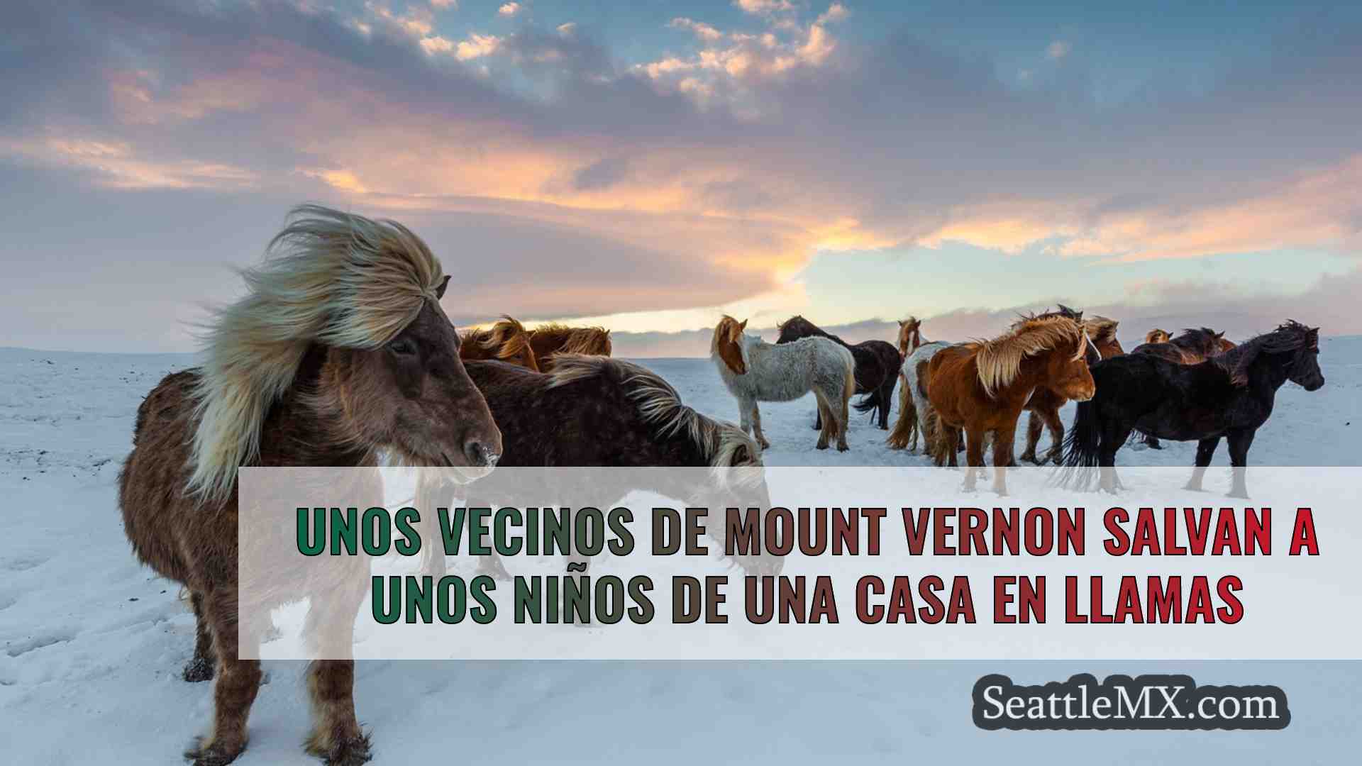 Noticias de Seattle SeattleMX