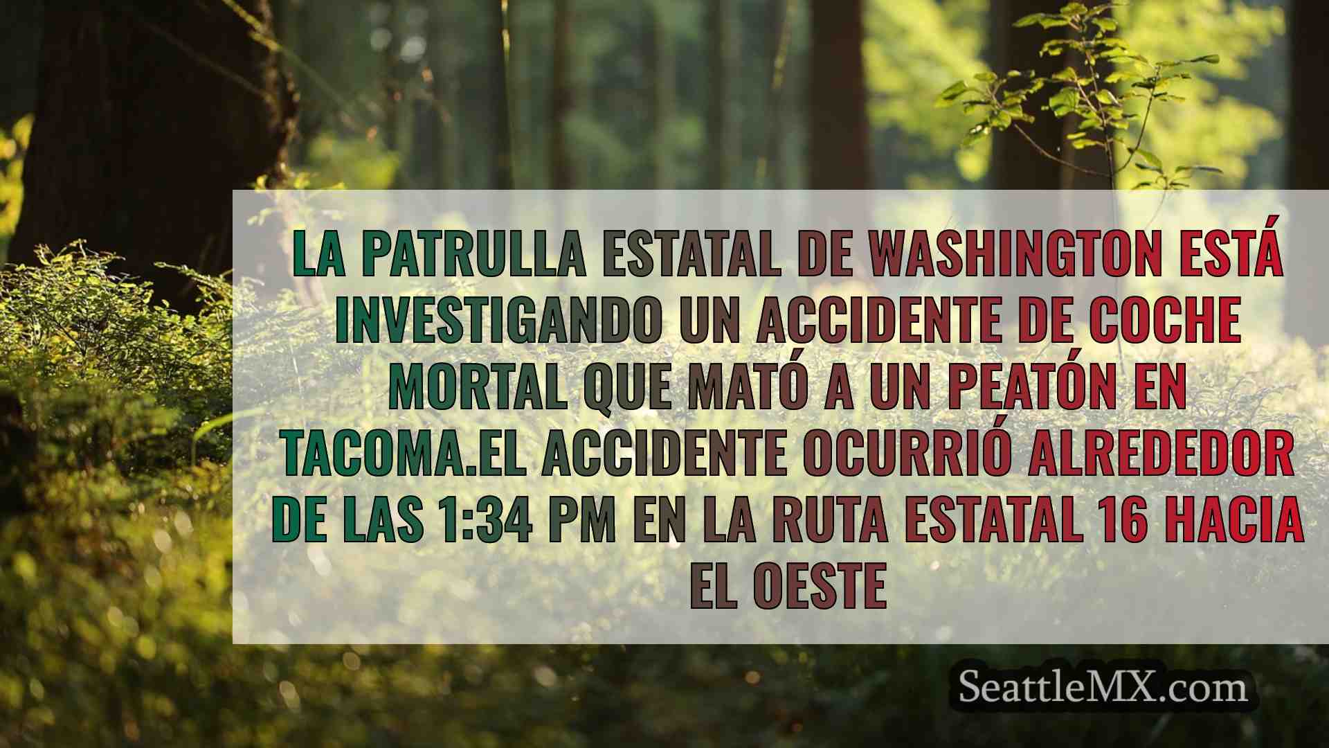 Noticias de Seattle SeattleMX