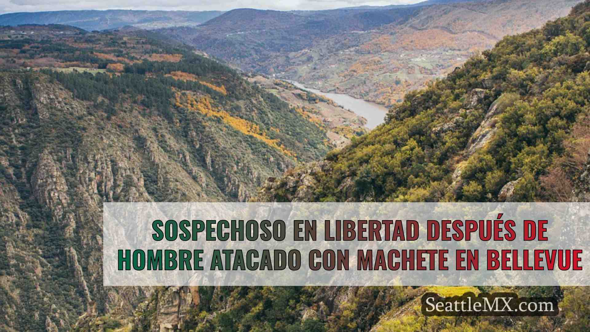 Noticias de Seattle SeattleMX