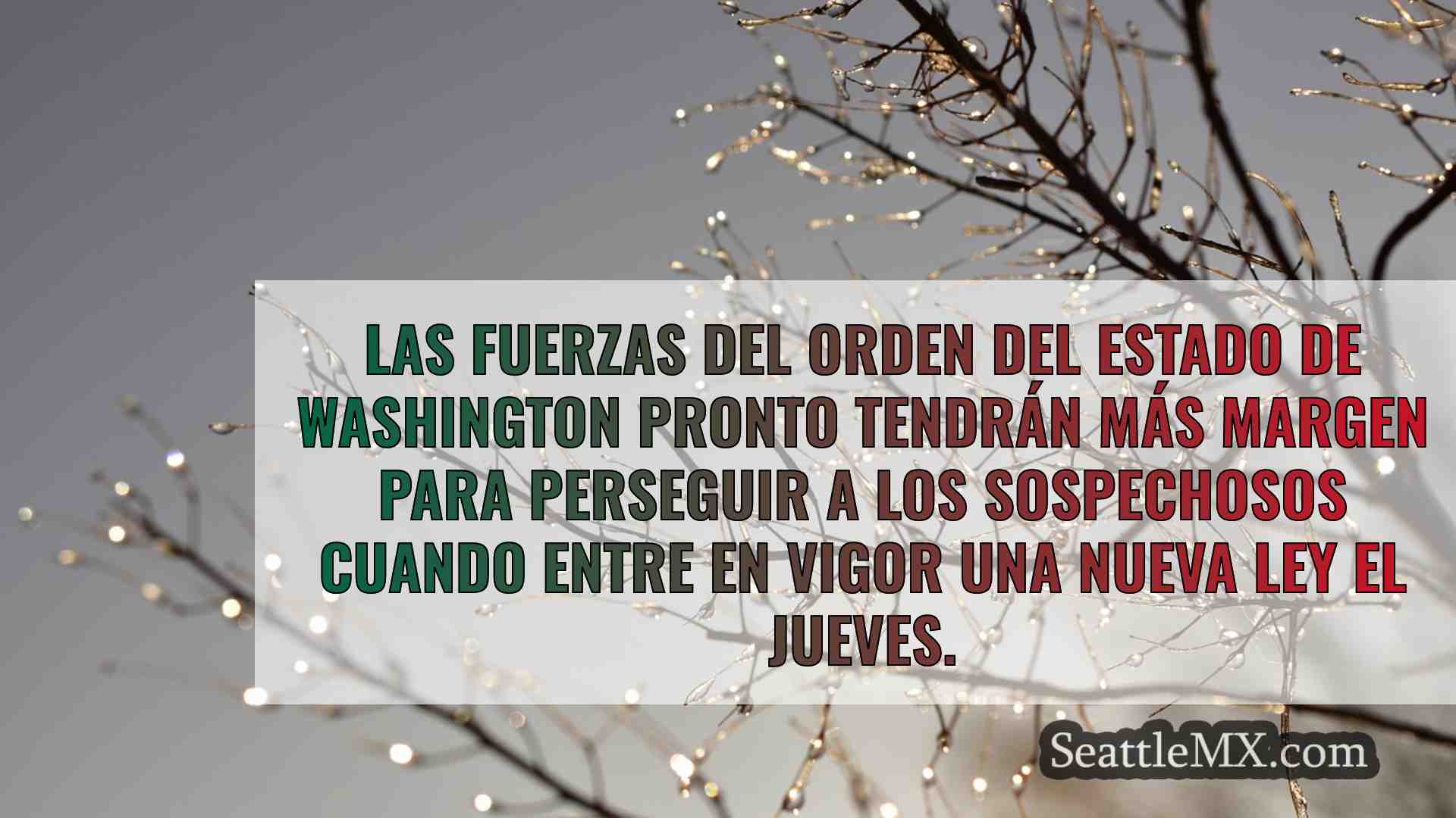 Noticias de Seattle SeattleMX