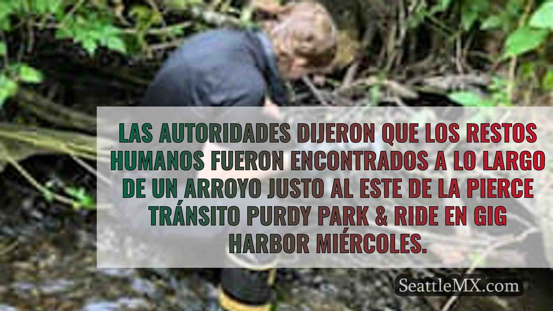 Noticias de Seattle SeattleMX