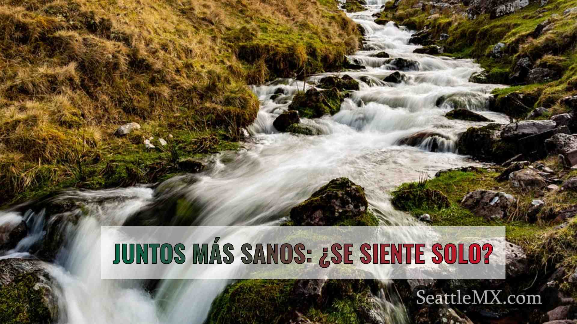Noticias de Seattle SeattleMX