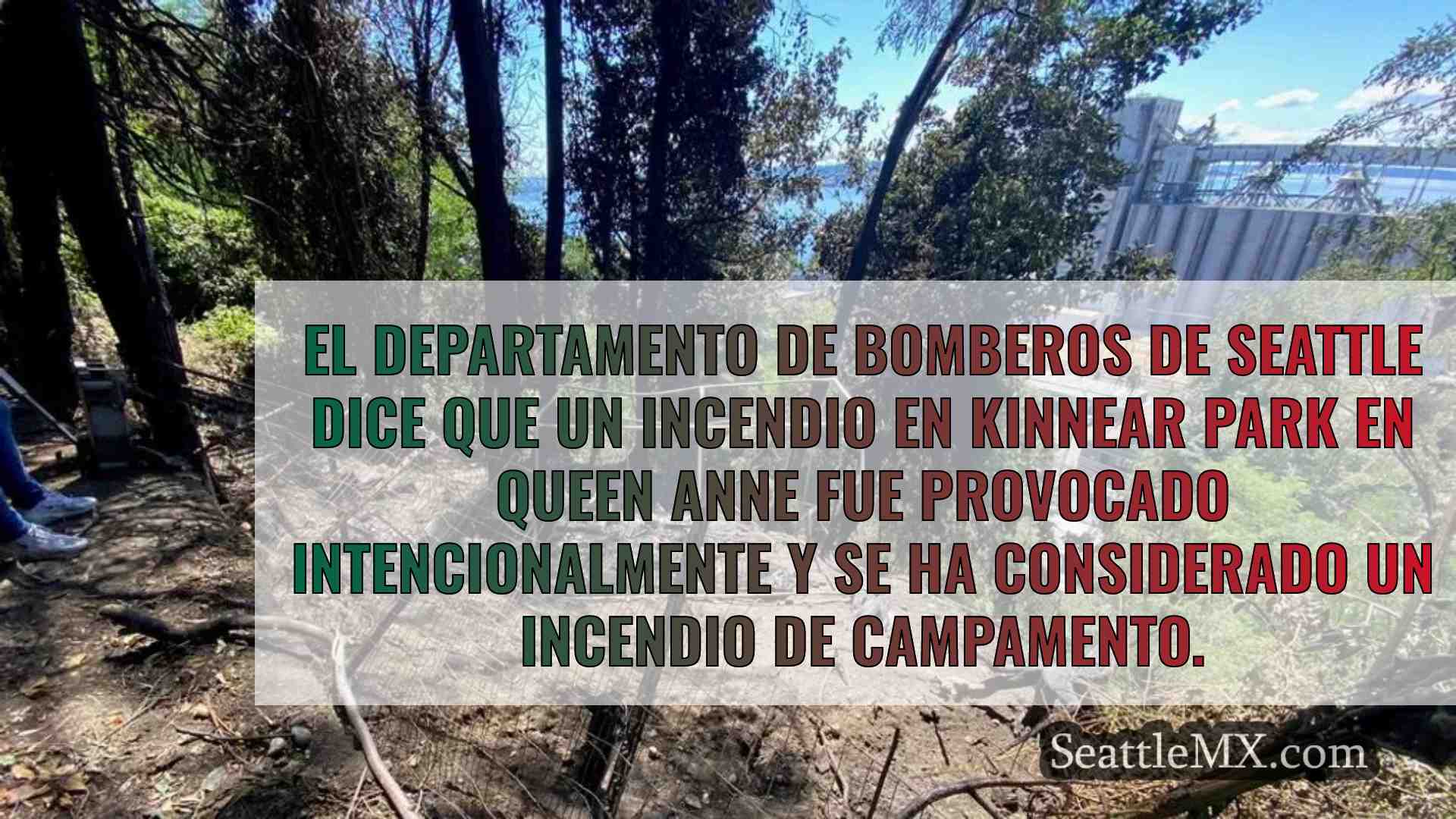 El incendio intencionado de un