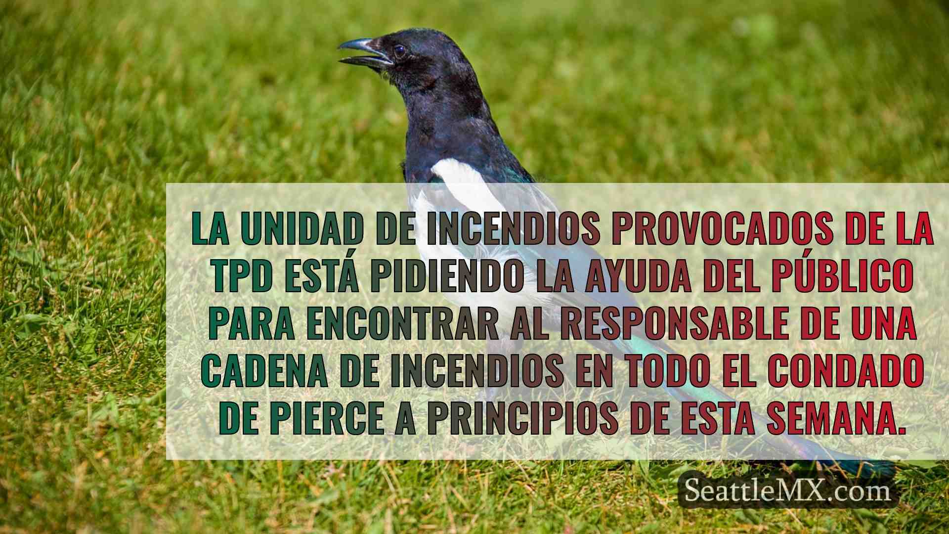 Noticias de Seattle SeattleMX