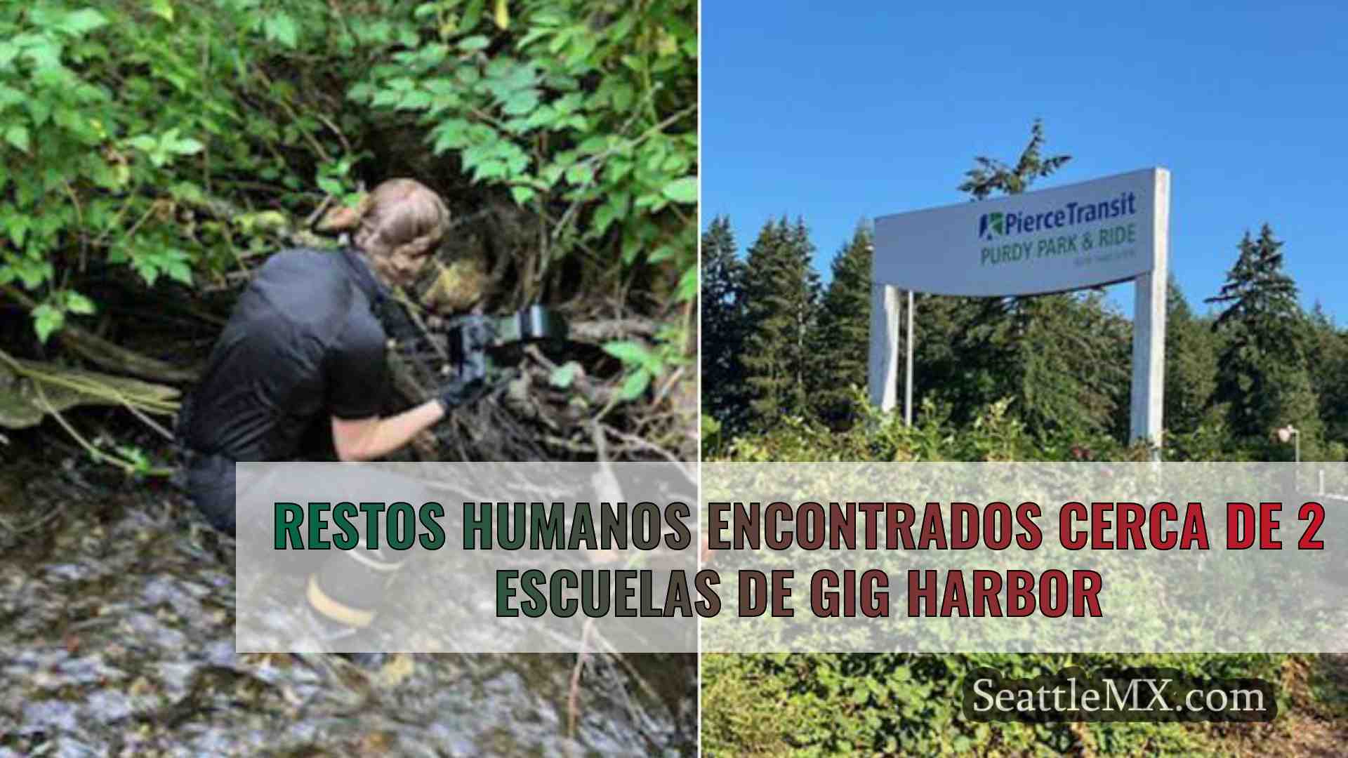 Restos humanos encontrados cerca de 2