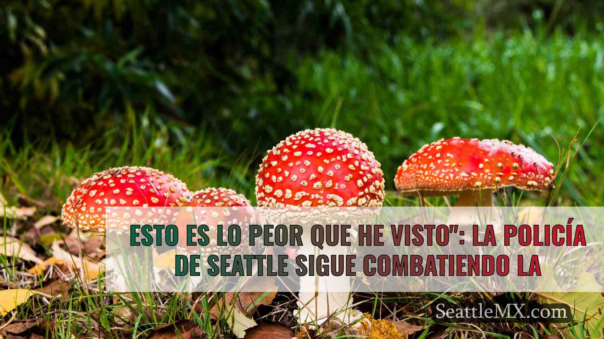 Noticias de Seattle SeattleMX