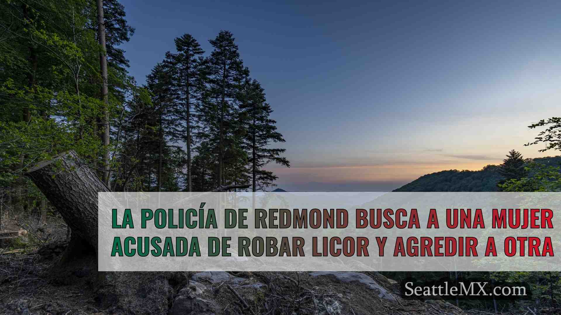Noticias de Seattle SeattleMX