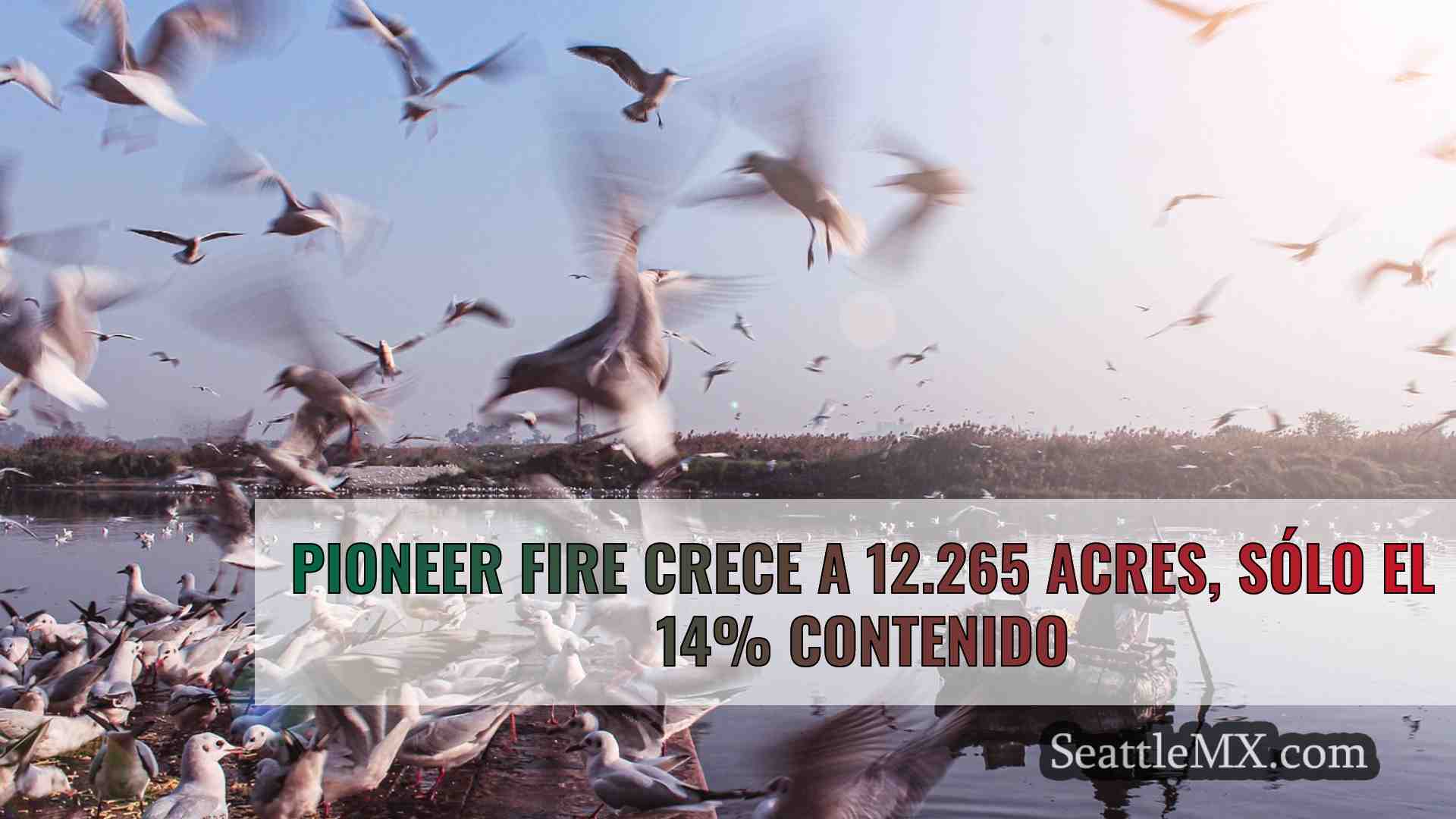 Noticias de Seattle SeattleMX