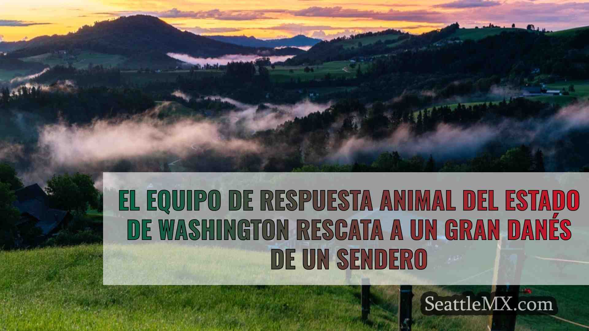 Noticias de Seattle SeattleMX