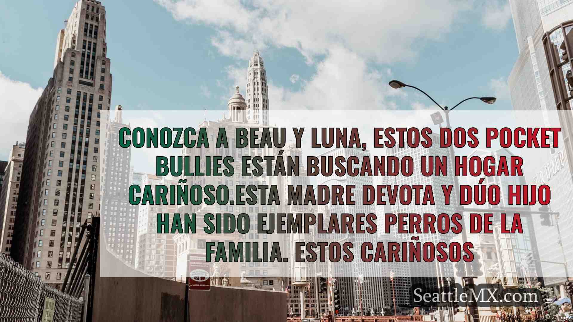 Noticias de Seattle SeattleMX