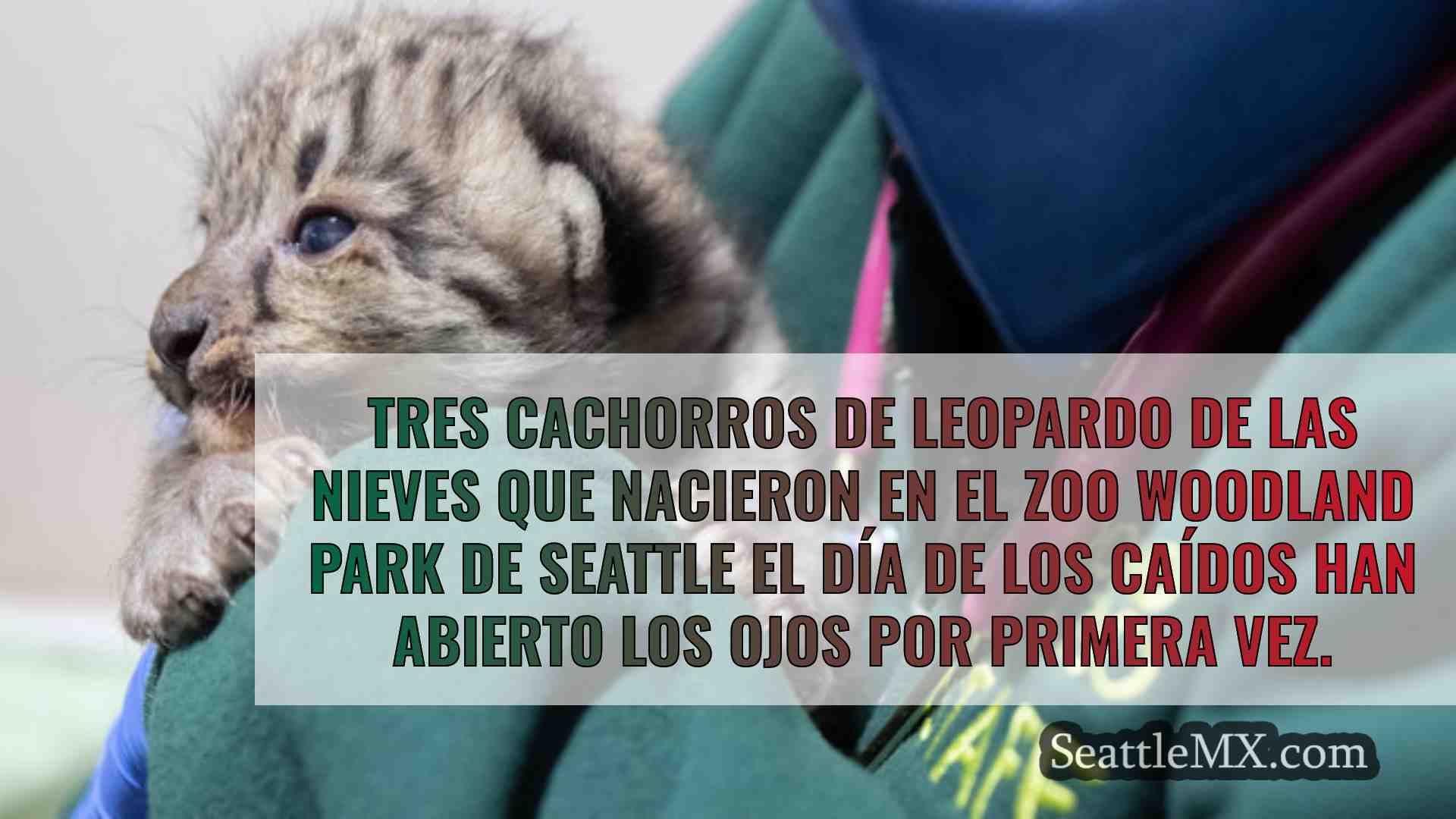 Noticias de Seattle SeattleMX