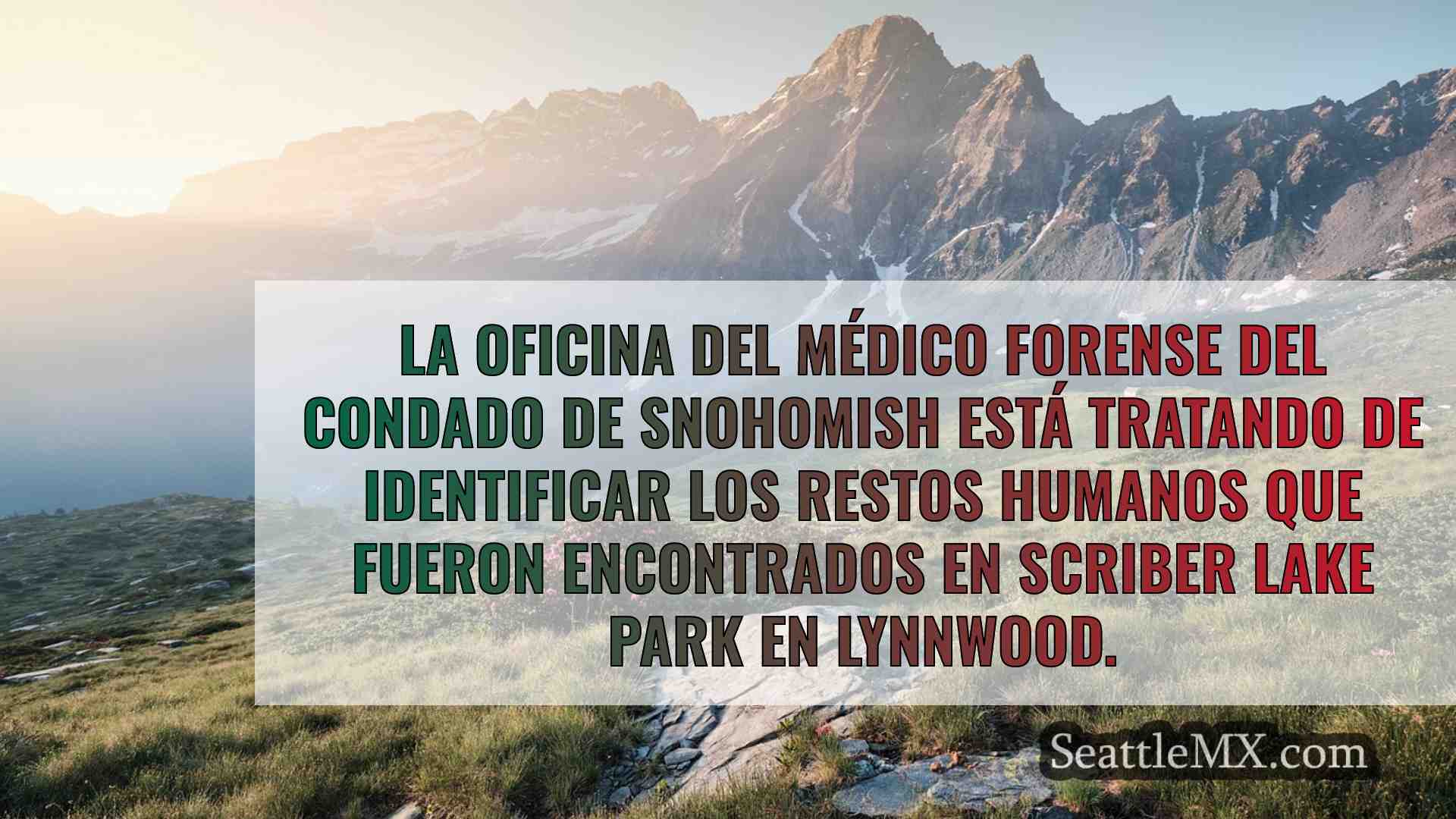 Noticias de Seattle SeattleMX