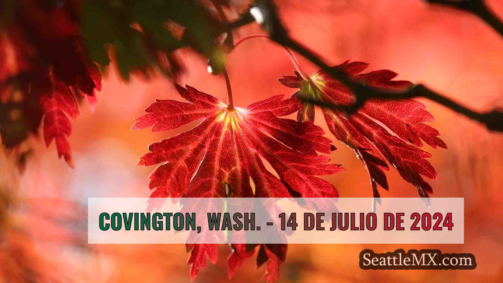 Noticias de Seattle SeattleMX