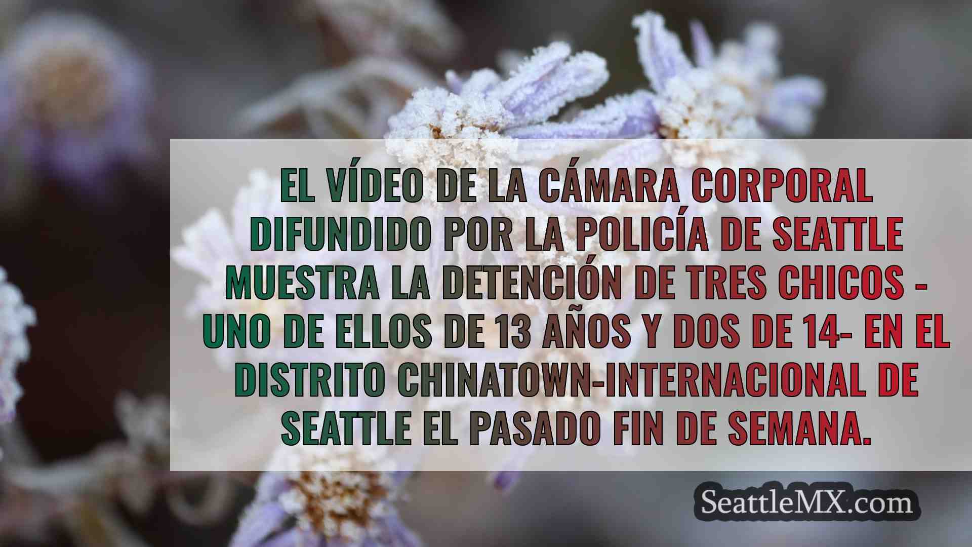 Noticias de Seattle SeattleMX