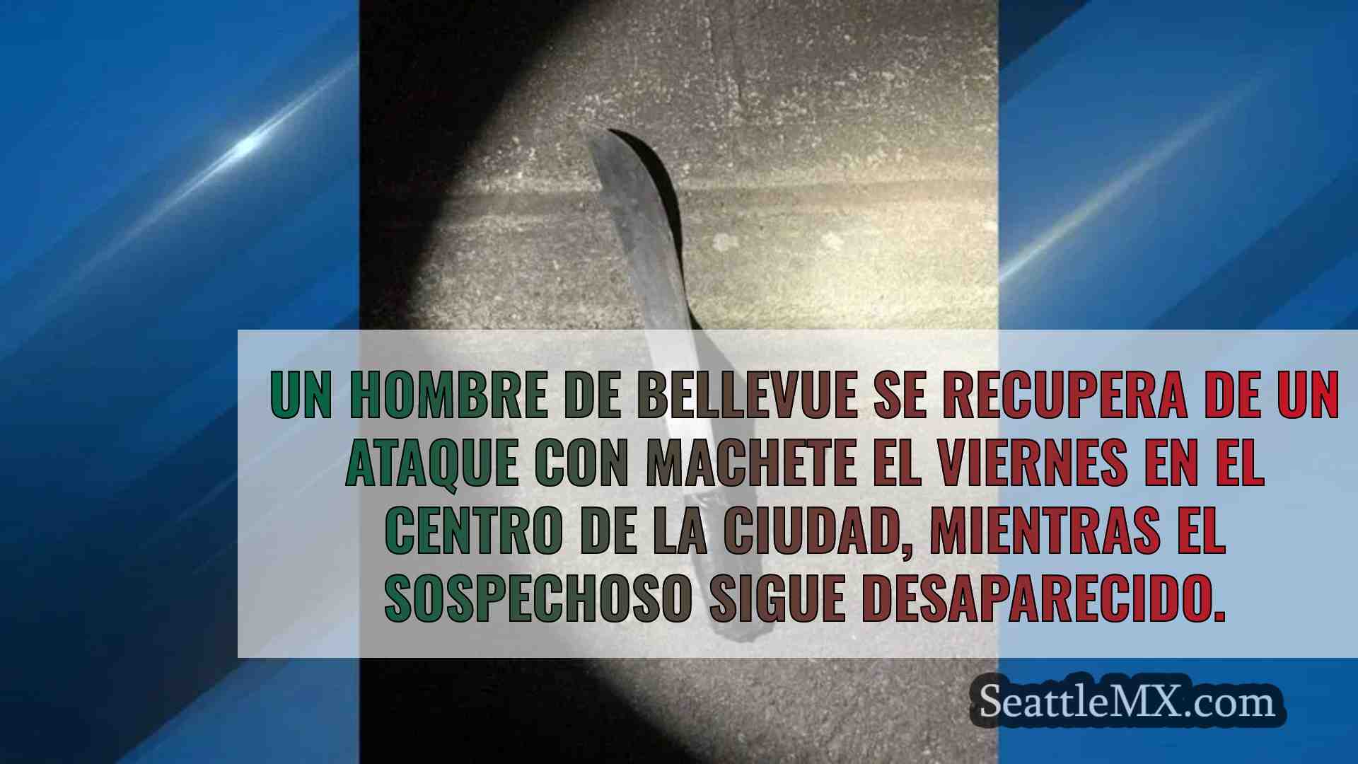 Se busca a un sospechoso tras atacar