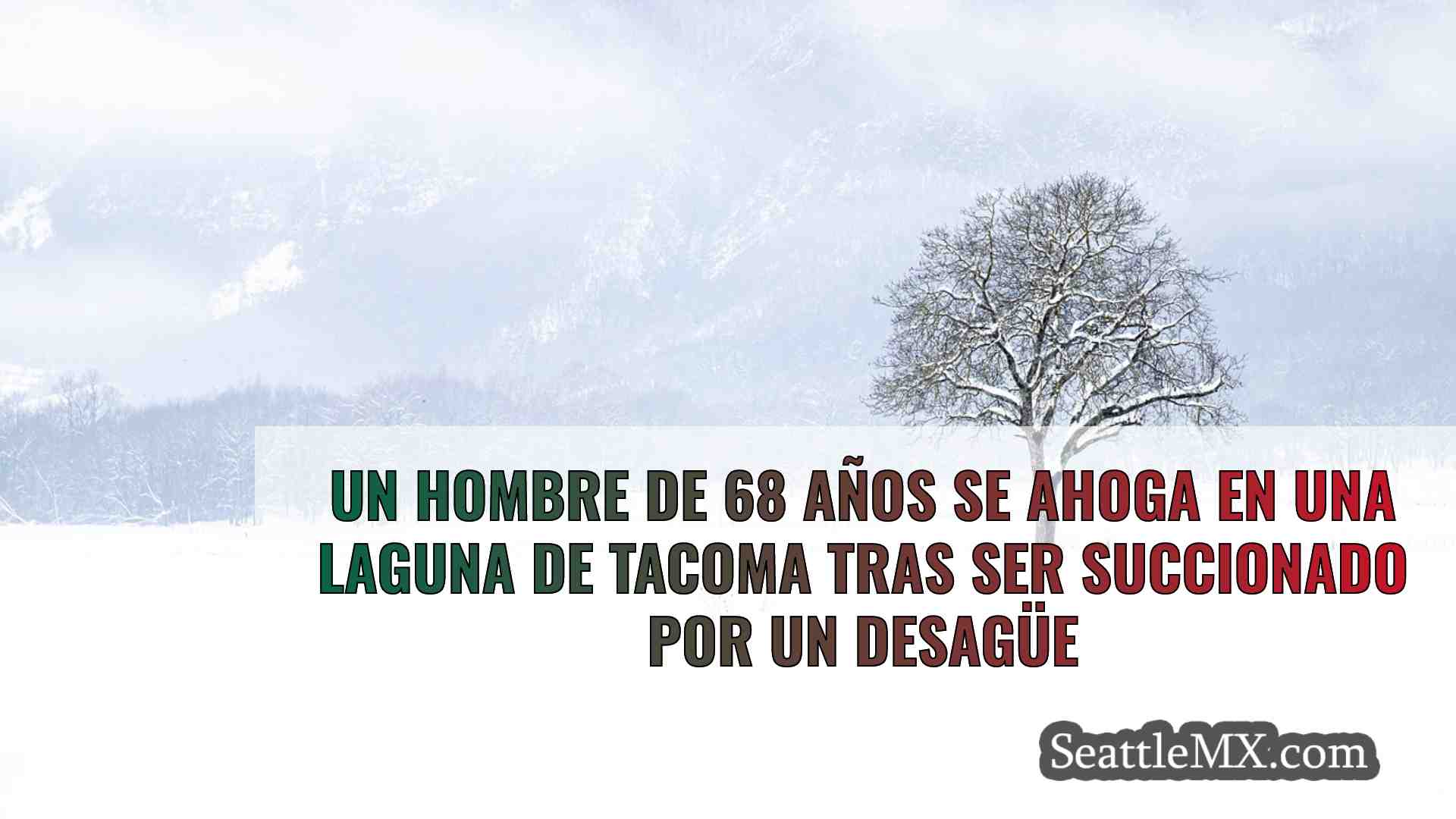 Noticias de Seattle SeattleMX