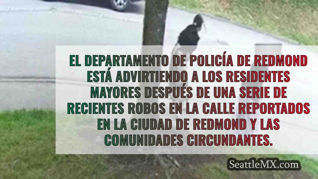 Una serie de robos en las calles de