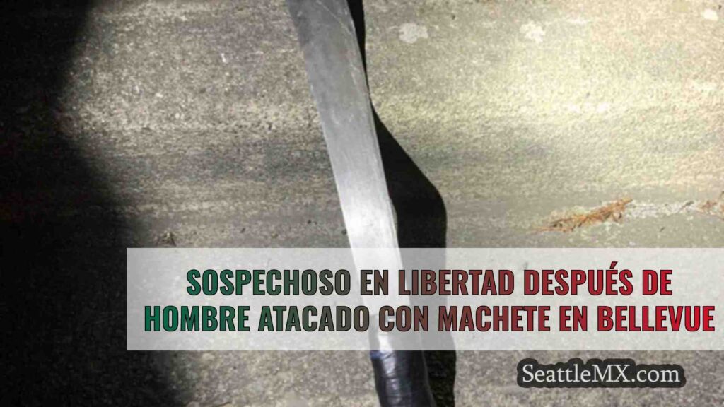 Sospechoso en libertad después de