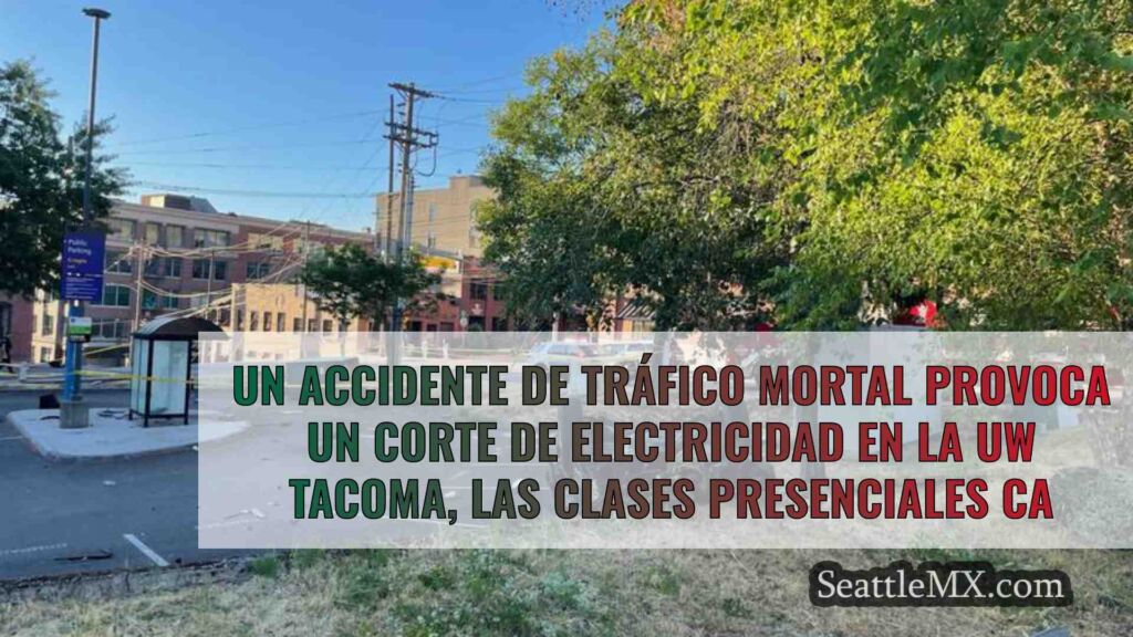 Un accidente de tráfico mortal provoca