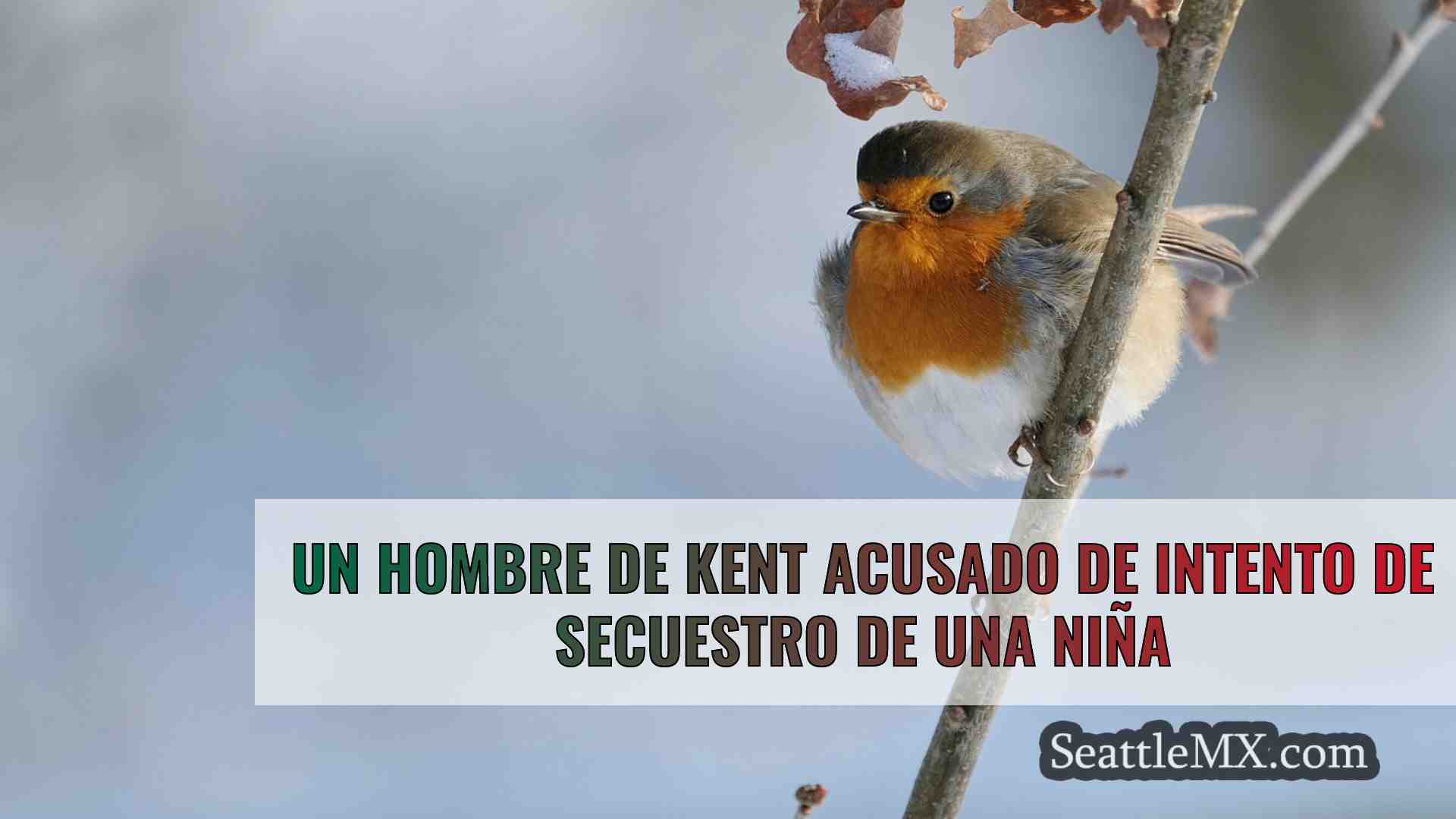 Noticias de Seattle SeattleMX
