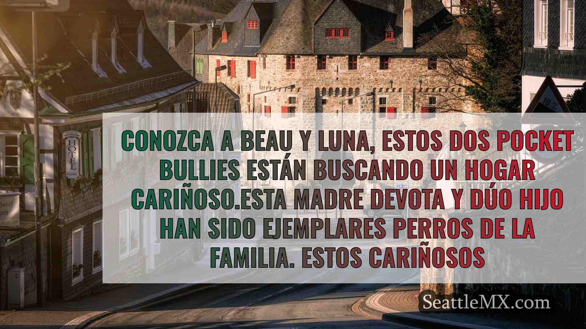 Noticias de Seattle SeattleMX