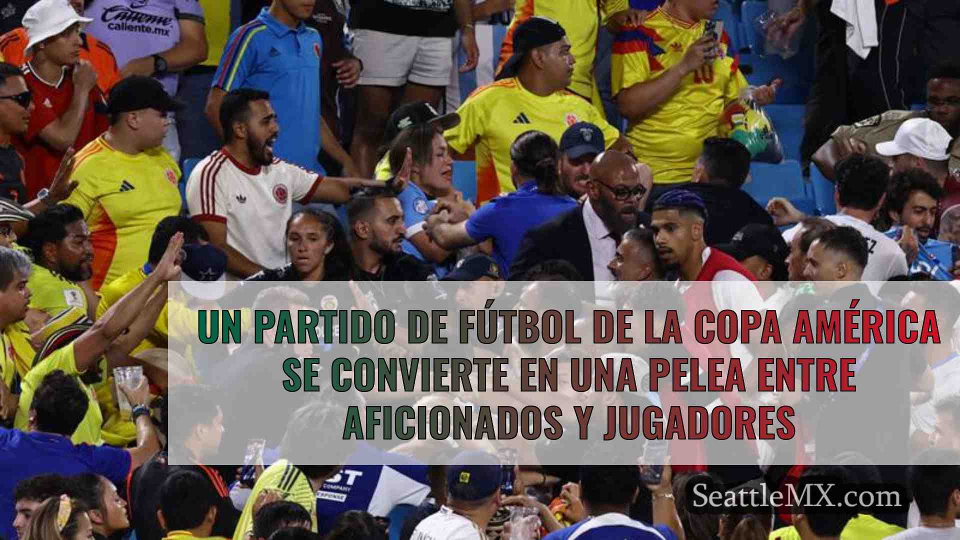 Un partido de fútbol de la Copa América