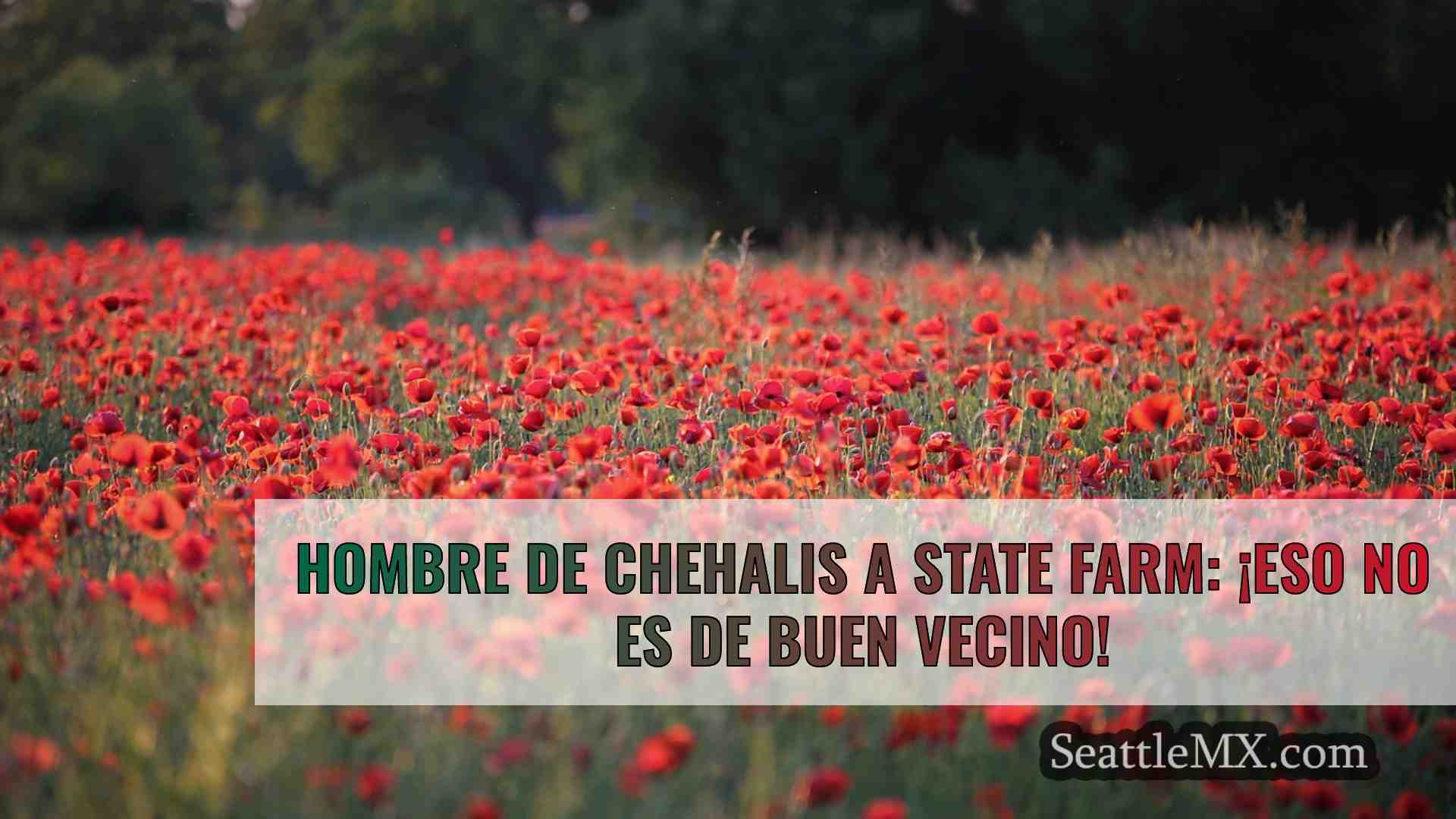 Noticias de Seattle SeattleMX