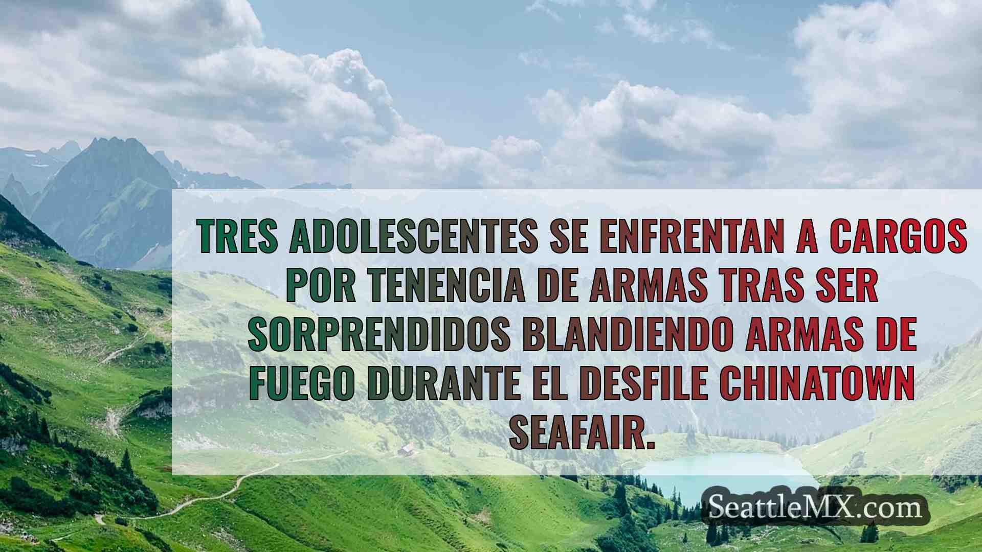 Los adolescentes se enfrentan a cargos