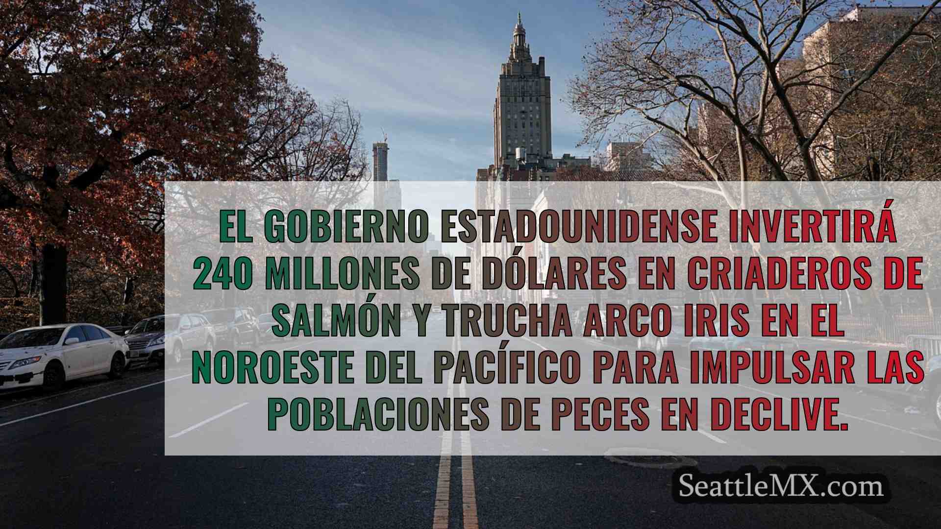 Noticias de Seattle SeattleMX