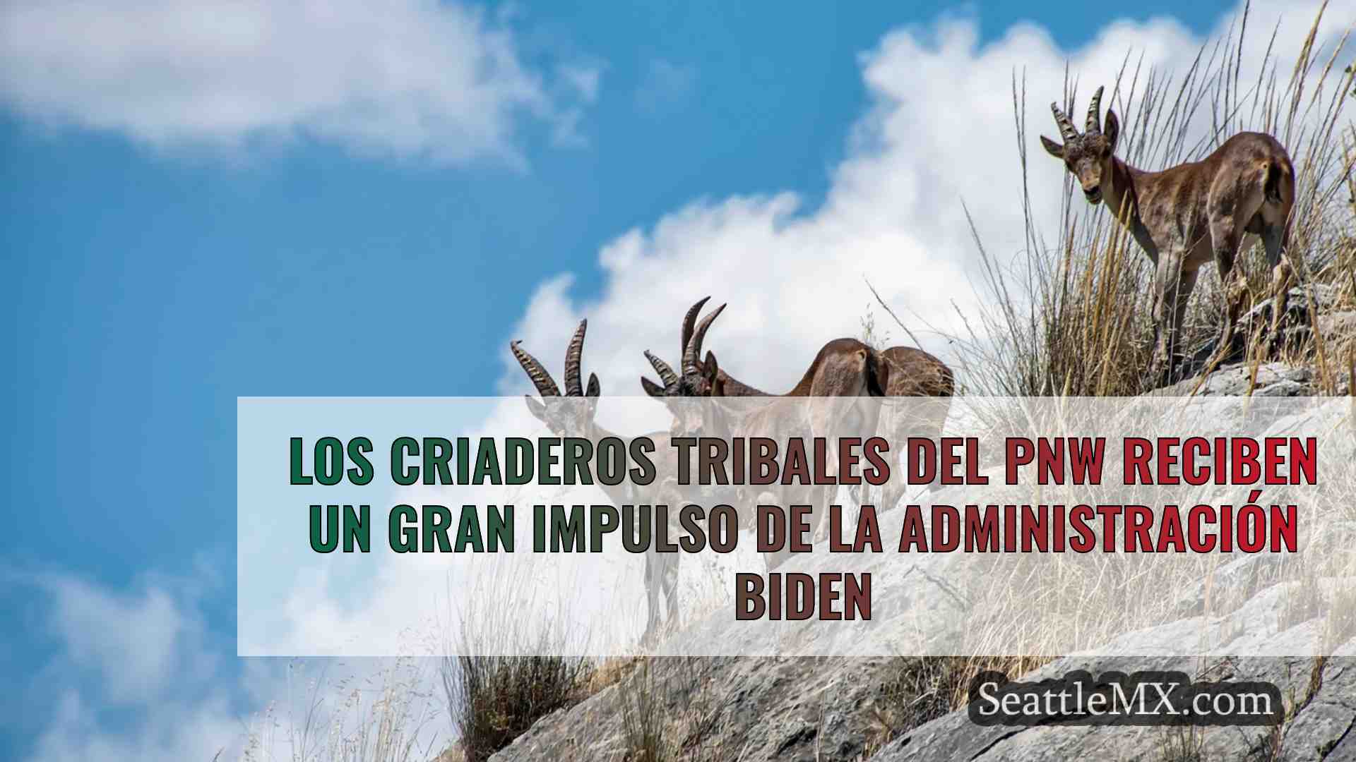 Noticias de Seattle SeattleMX