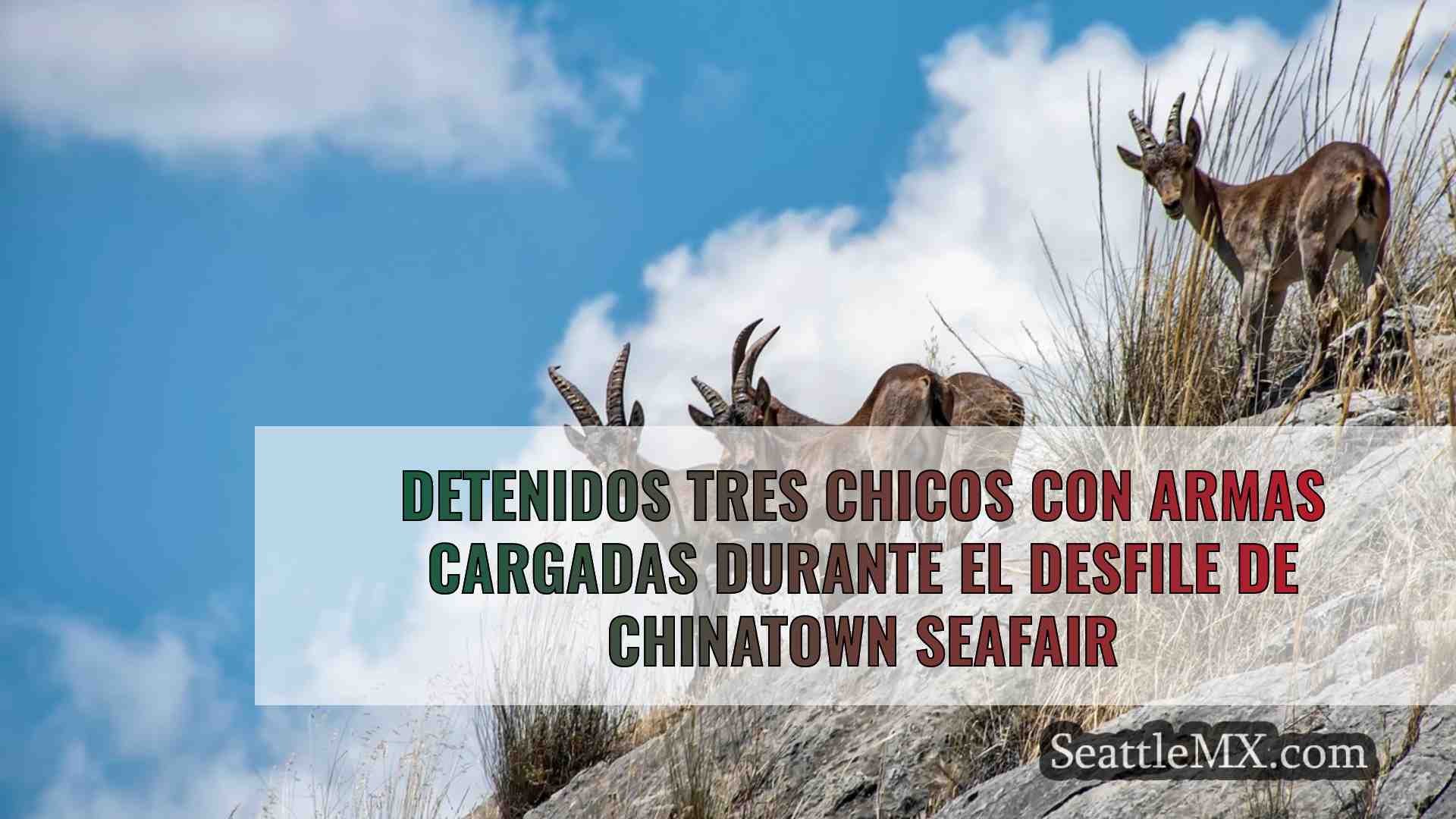 Noticias de Seattle SeattleMX