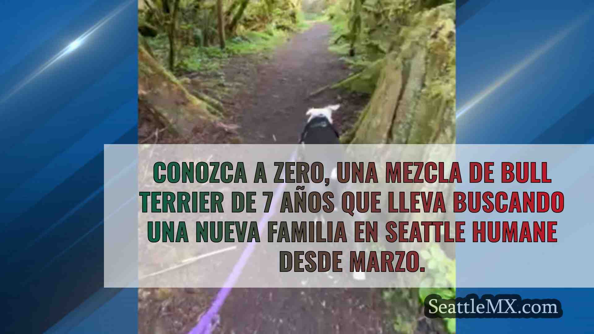 Noticias de Seattle SeattleMX