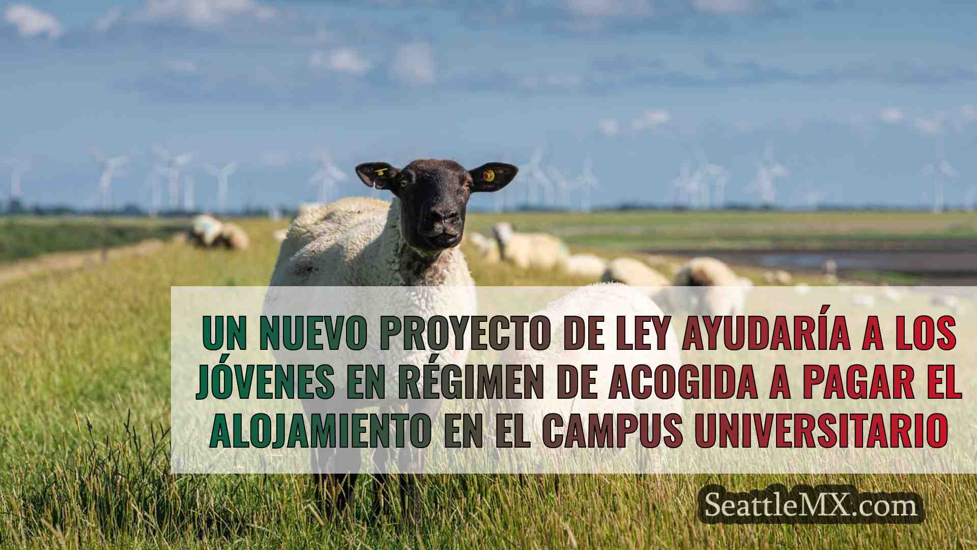 Noticias de Seattle SeattleMX