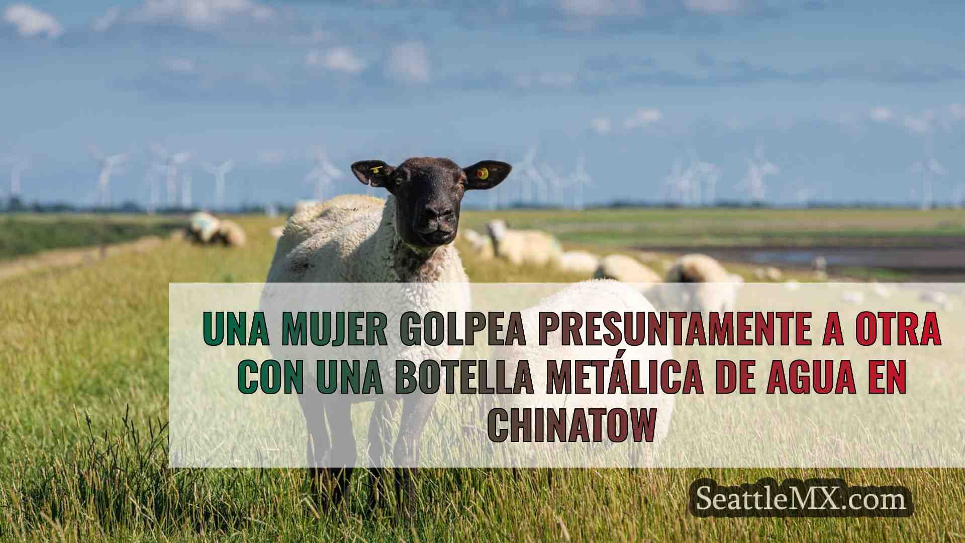 Una mujer golpea presuntamente a otra