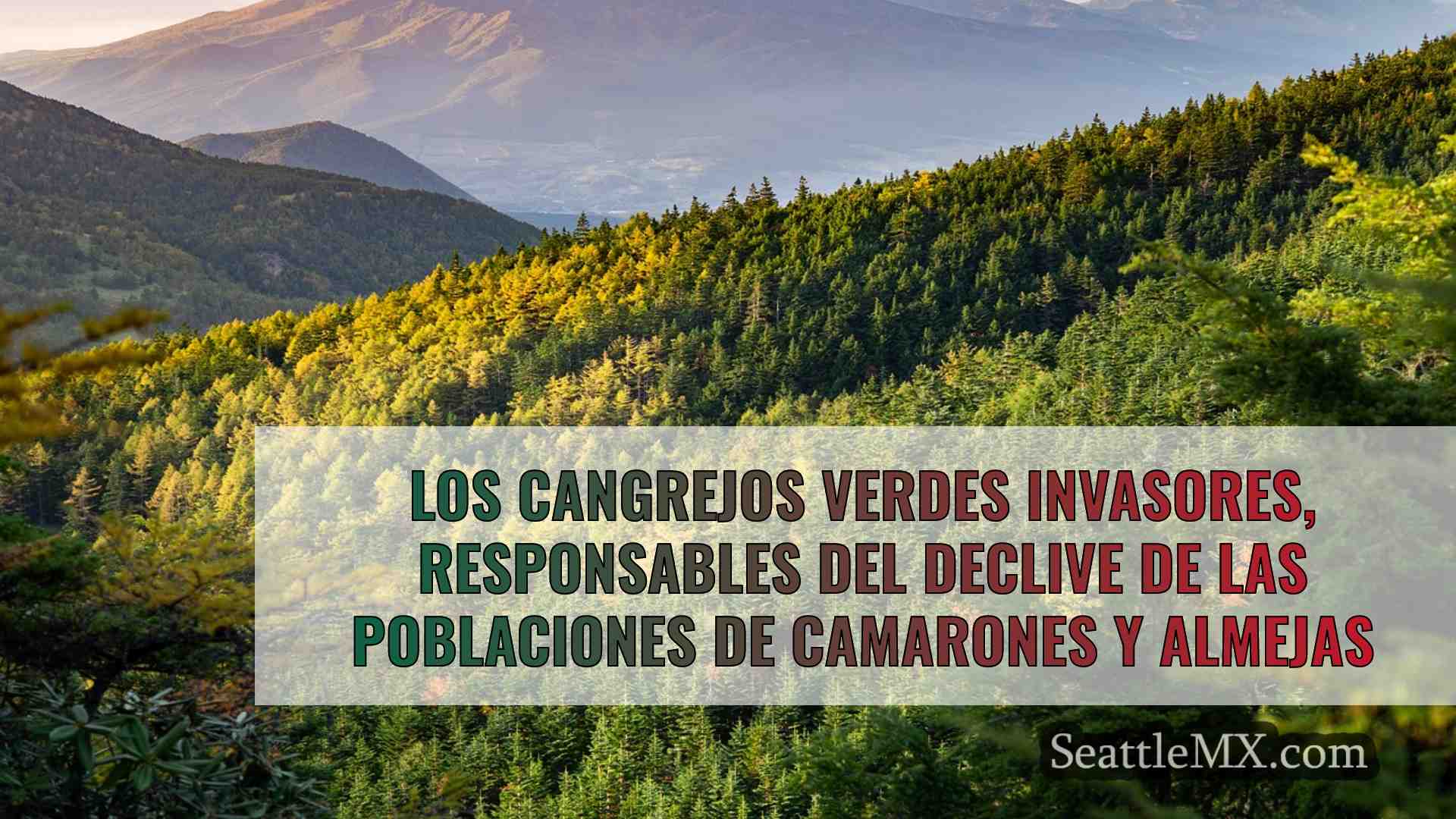 Noticias de Seattle SeattleMX
