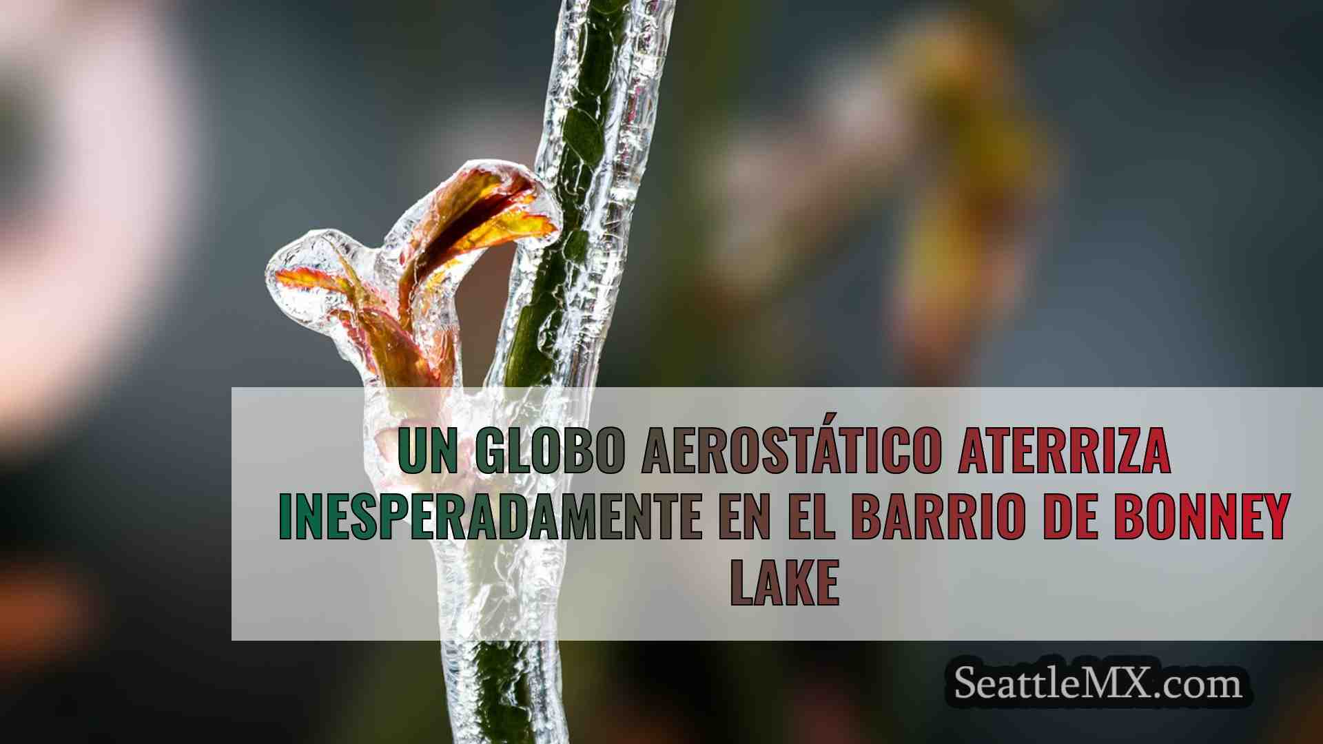 Noticias de Seattle SeattleMX