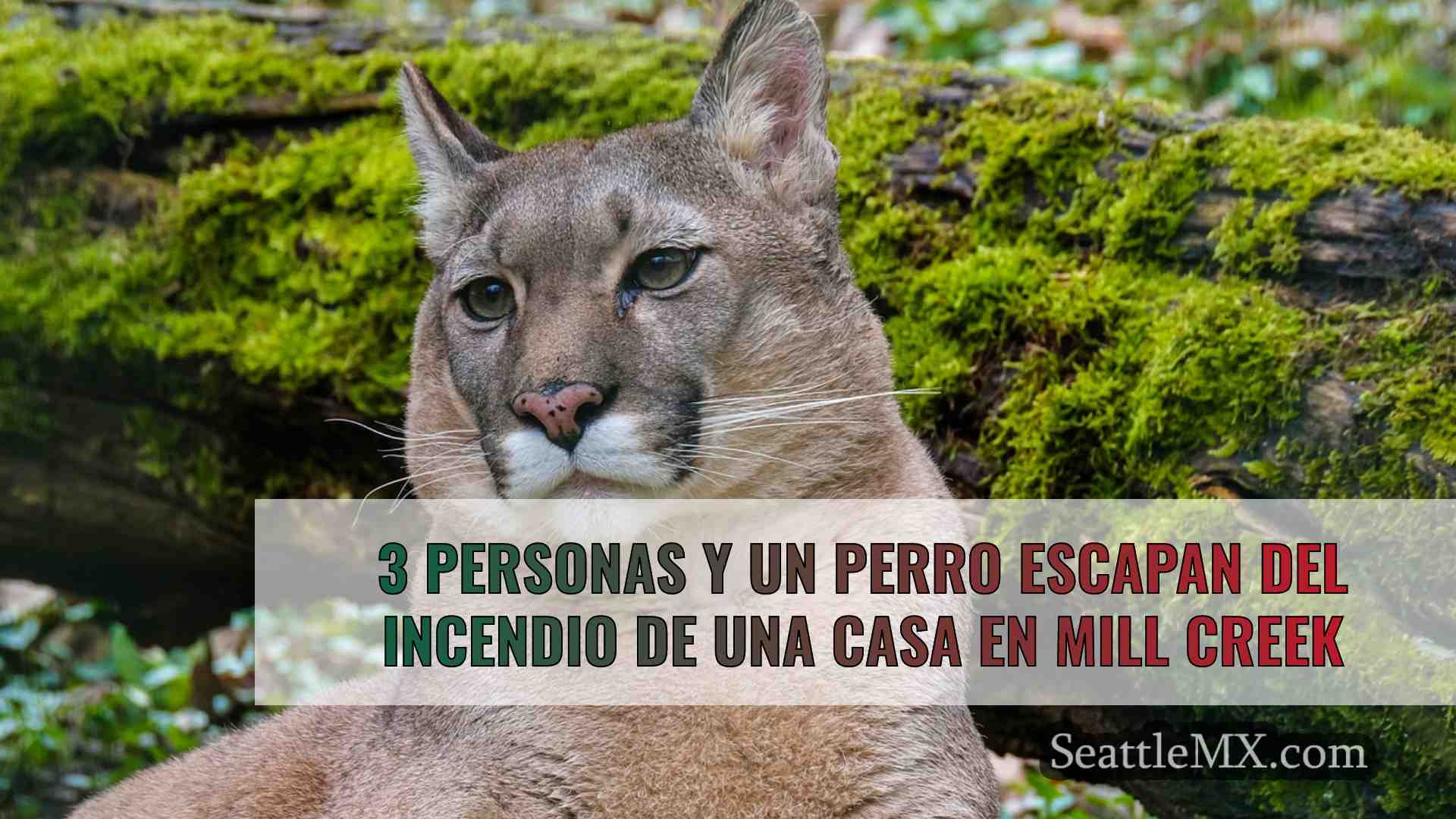 Noticias de Seattle SeattleMX