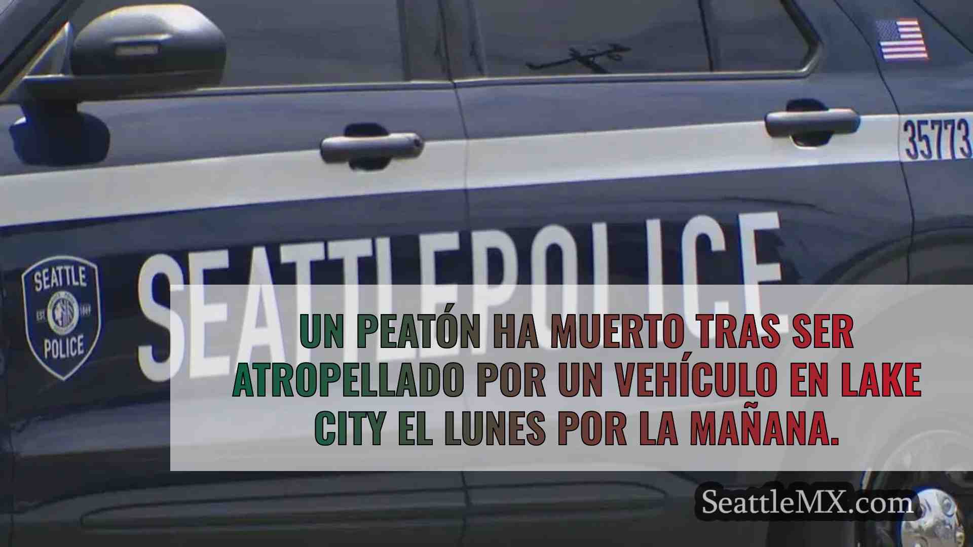 Investigación de homicidio vehicular en