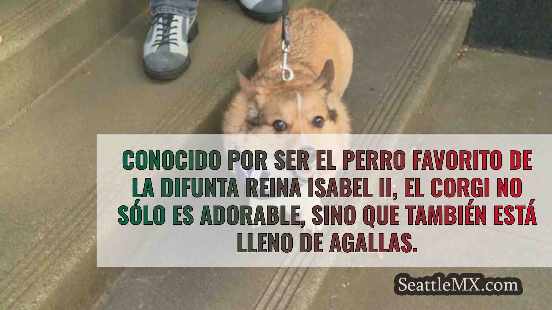 Noticias de Seattle SeattleMX
