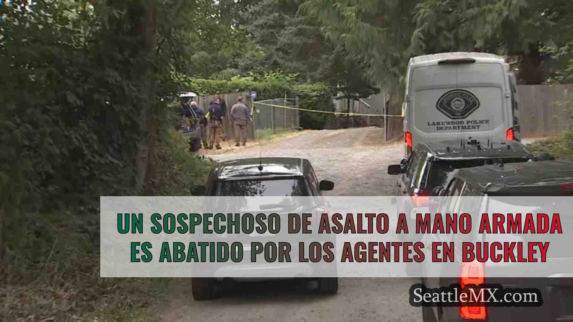 Un sospechoso de asalto a mano armada