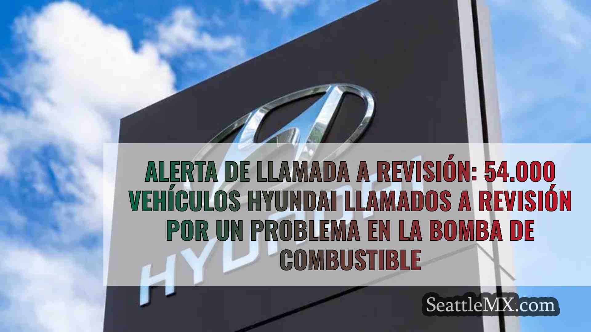 Alerta de llamada a revisión: 54.000