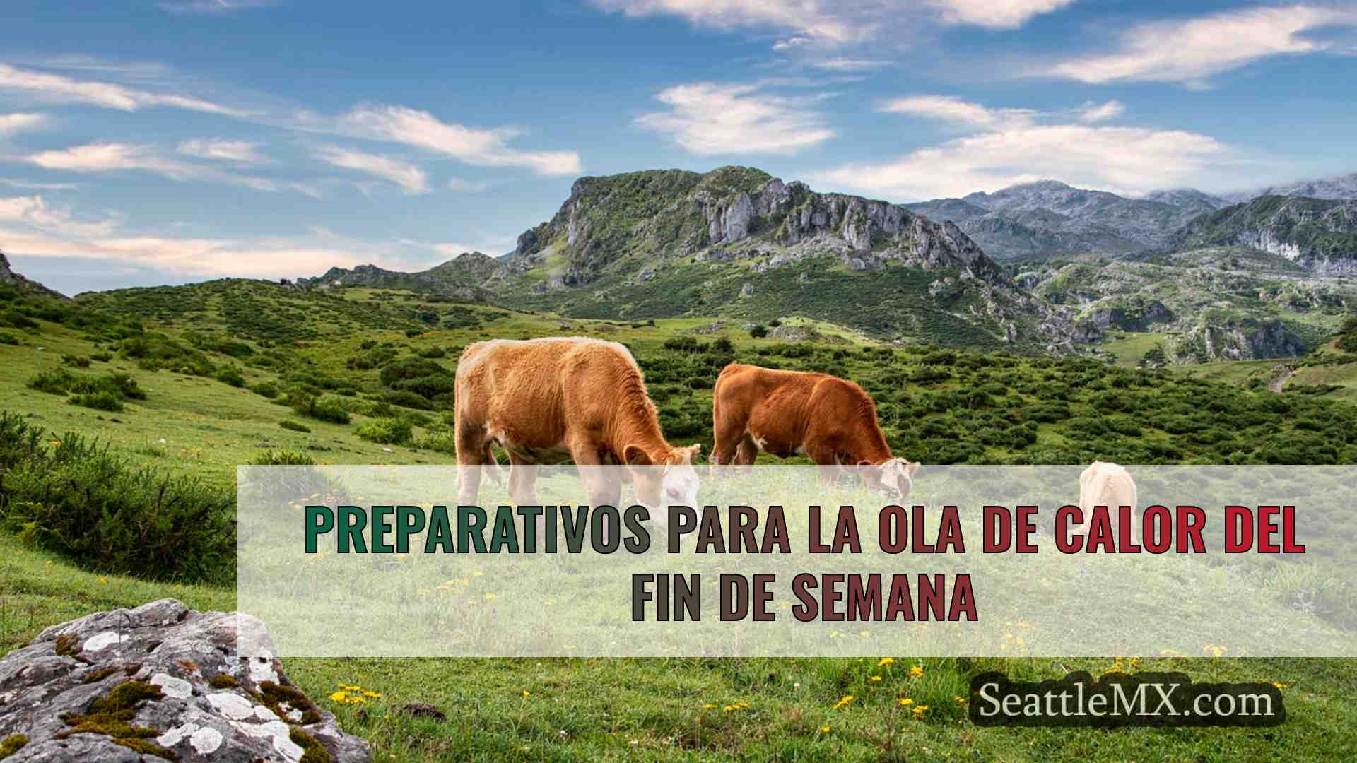 Noticias de Seattle SeattleMX