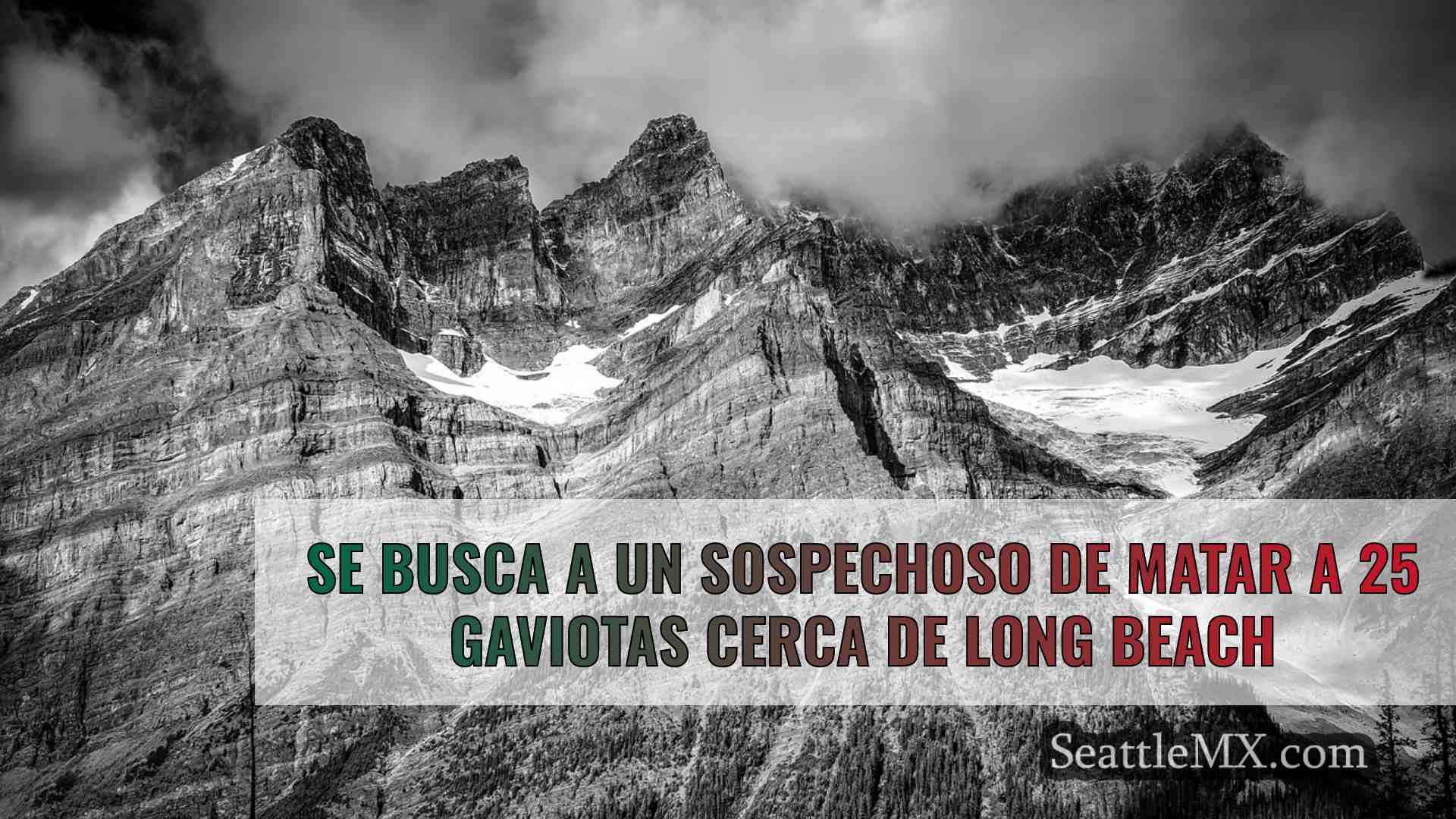 Noticias de Seattle SeattleMX