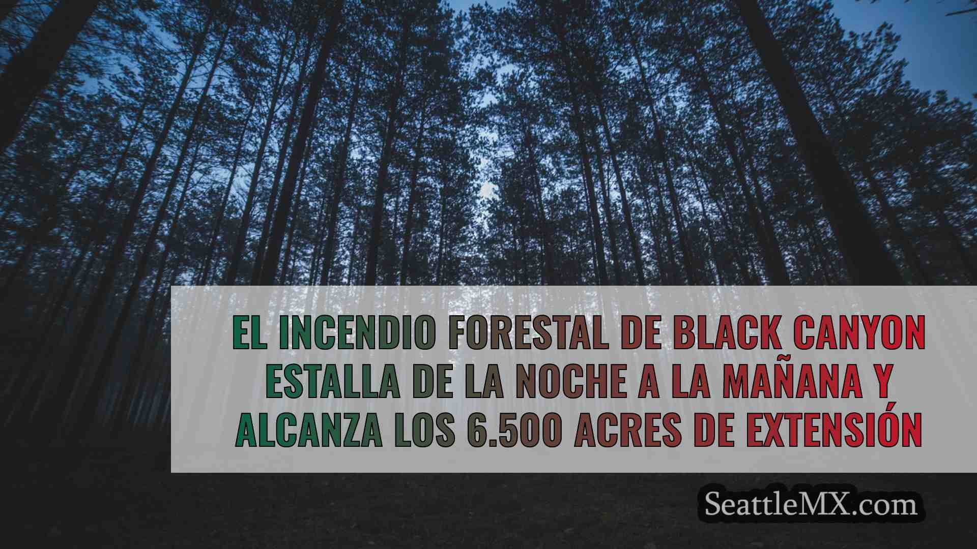 Noticias de Seattle SeattleMX