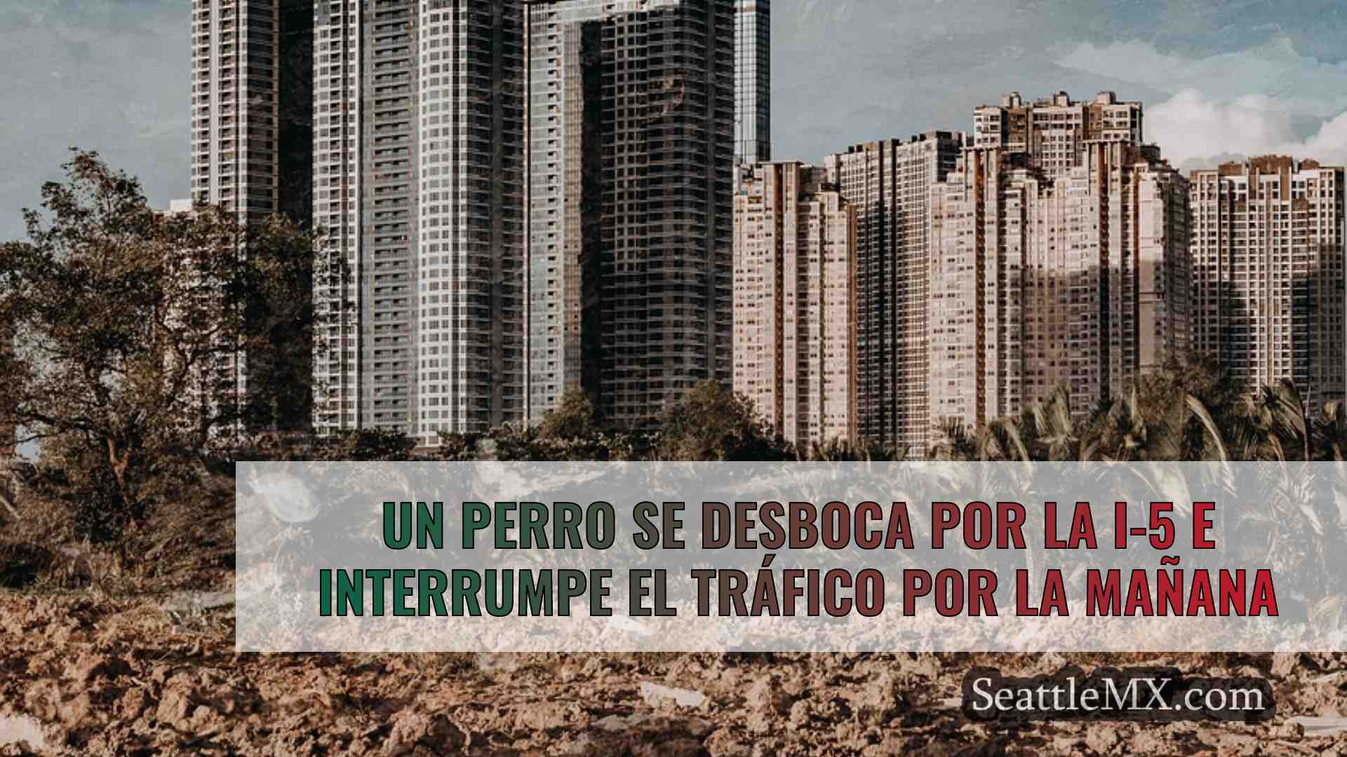 Noticias de Seattle SeattleMX