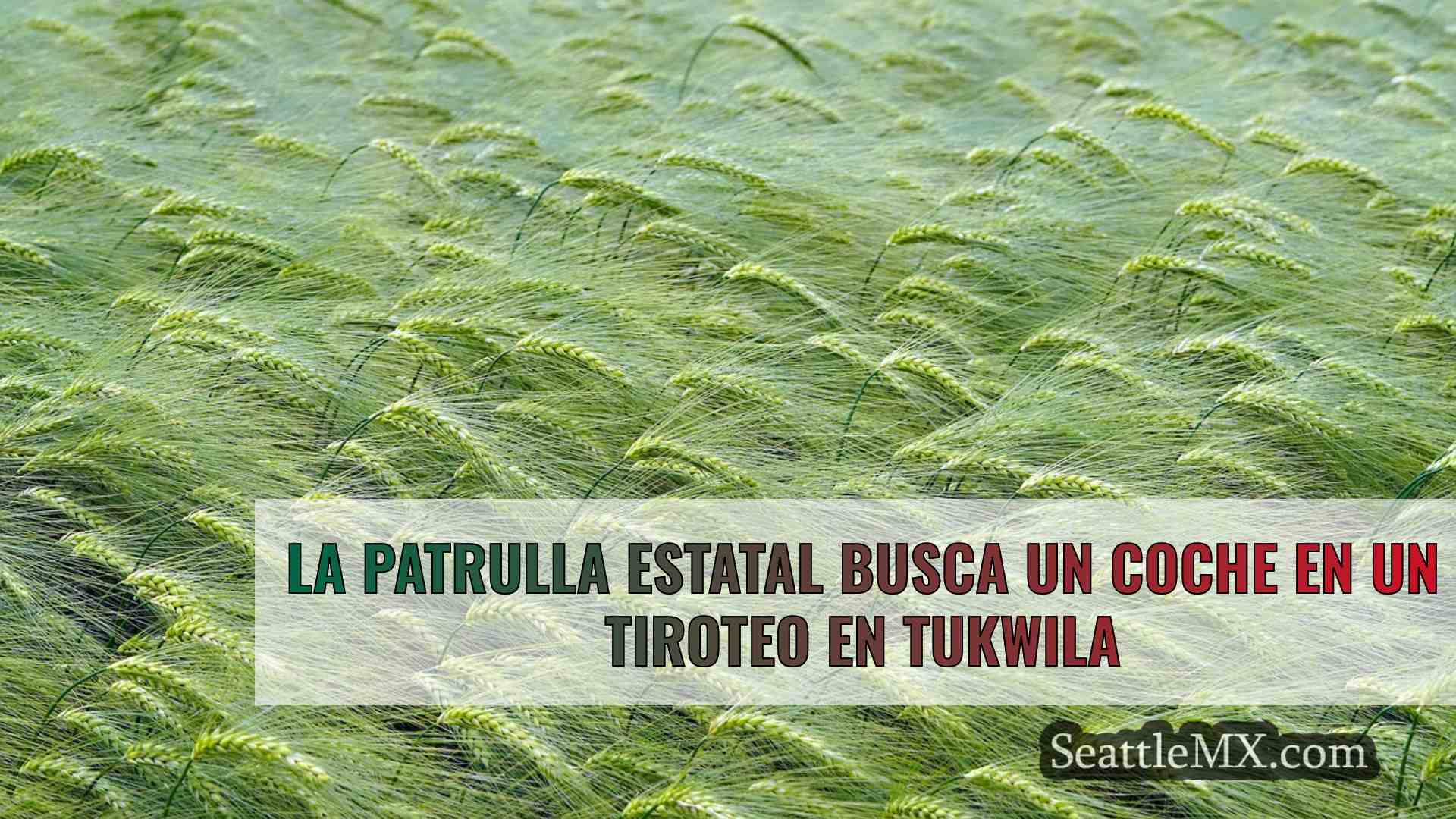 Noticias de Seattle SeattleMX