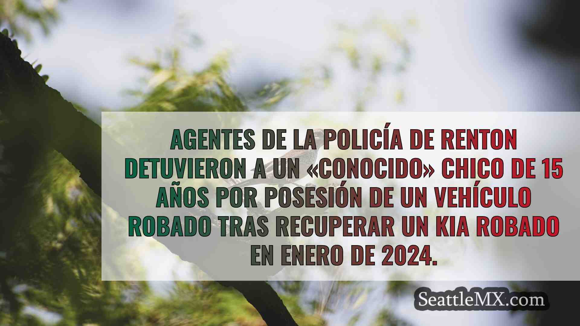 Noticias de Seattle SeattleMX