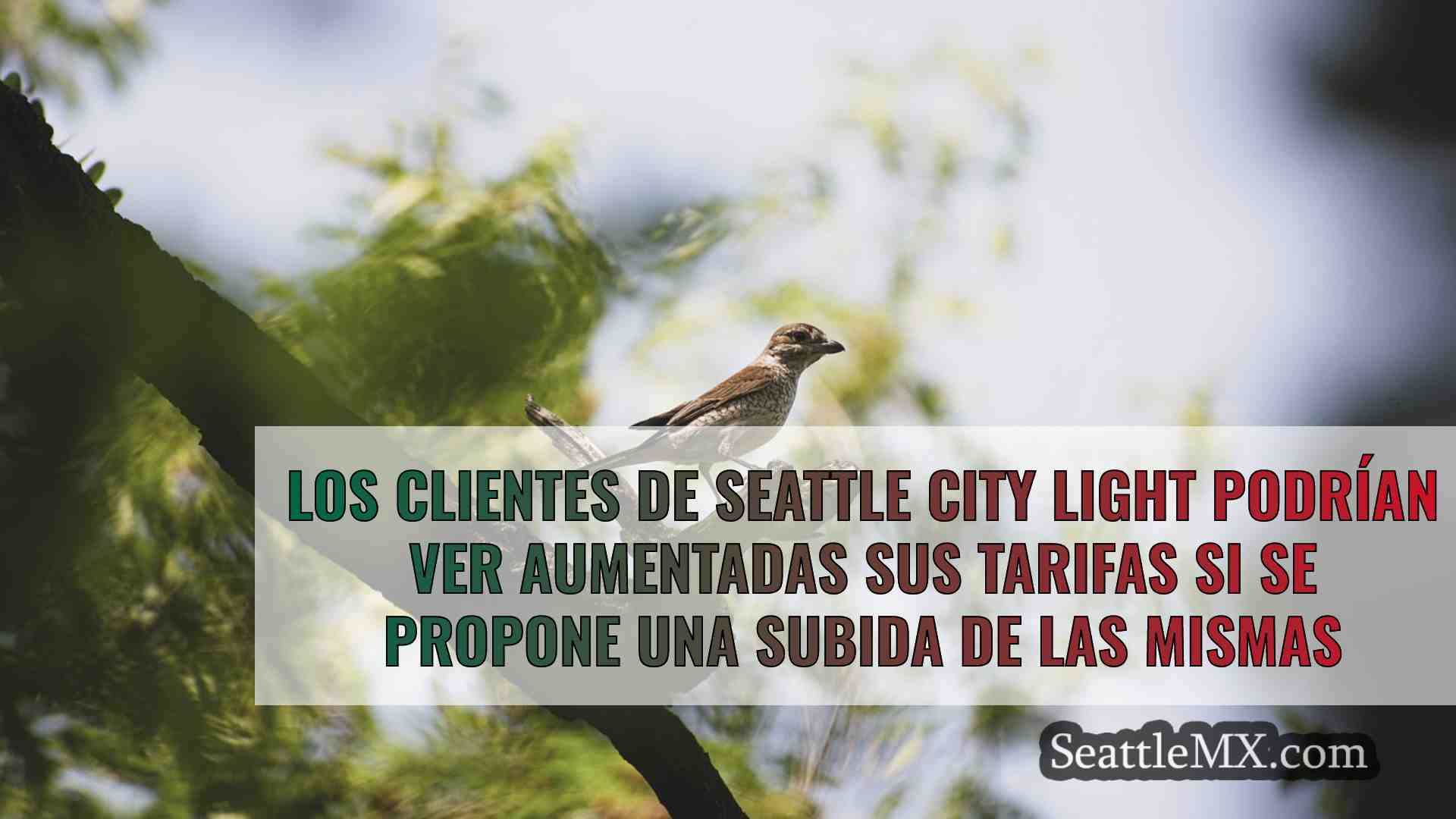 Noticias de Seattle SeattleMX