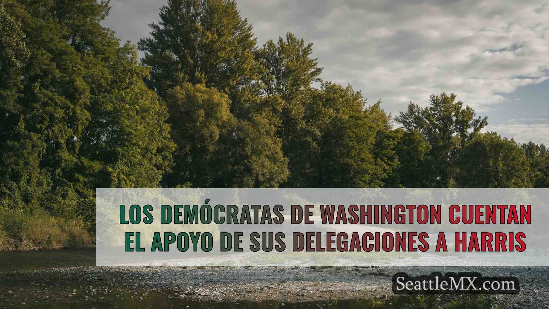 Los demócratas de Washington cuentan el