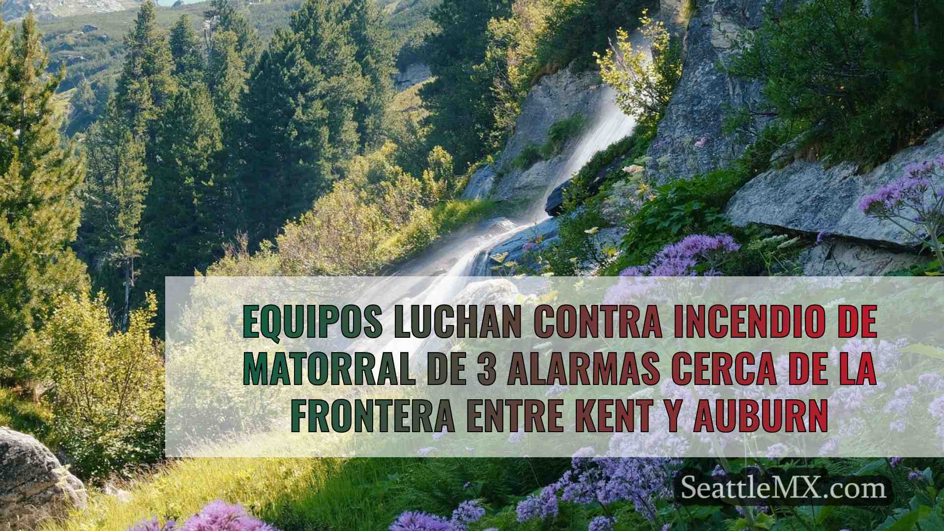 Noticias de Seattle SeattleMX